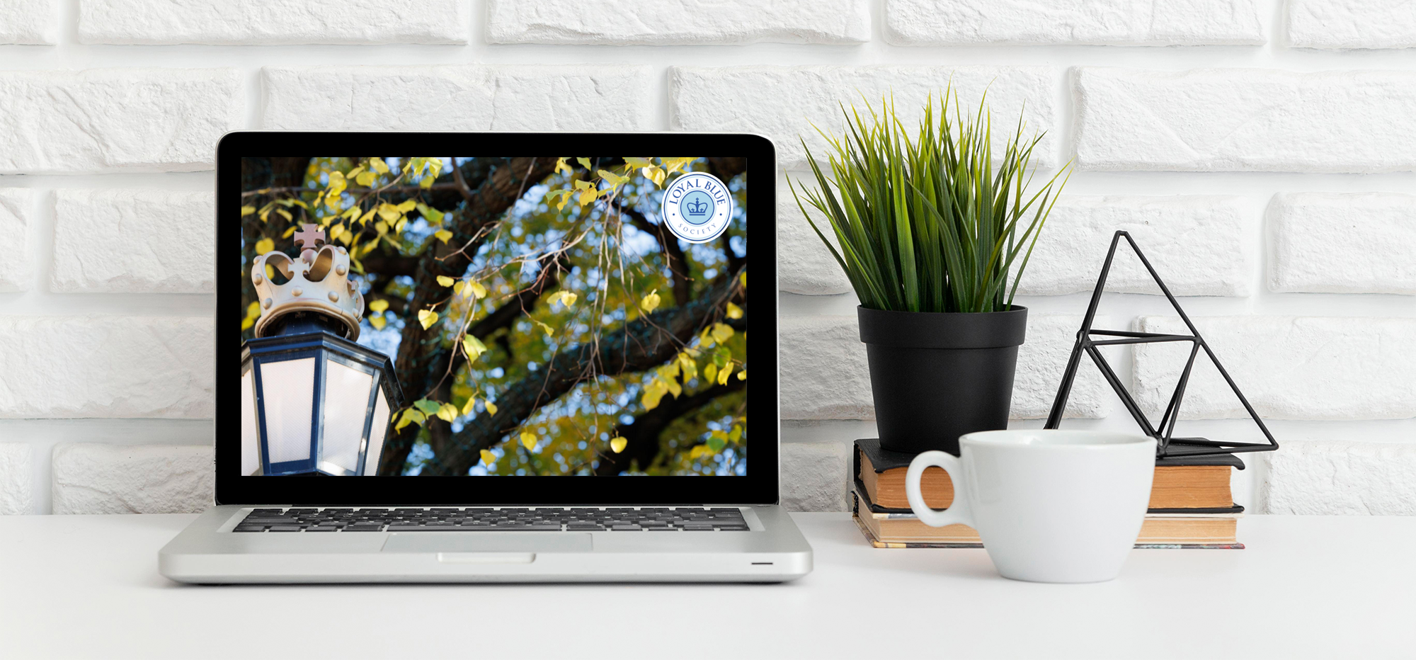 Download your Loyal Blue Society Wallpapers for Desktop or Laptop using the button below this image