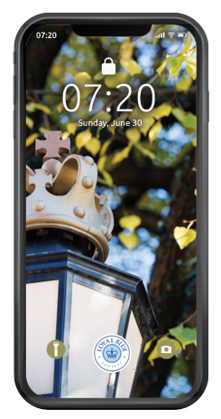 Download your Loyal Blue Society Wallpapers for iPhone or Android using the buttons to the right of this image